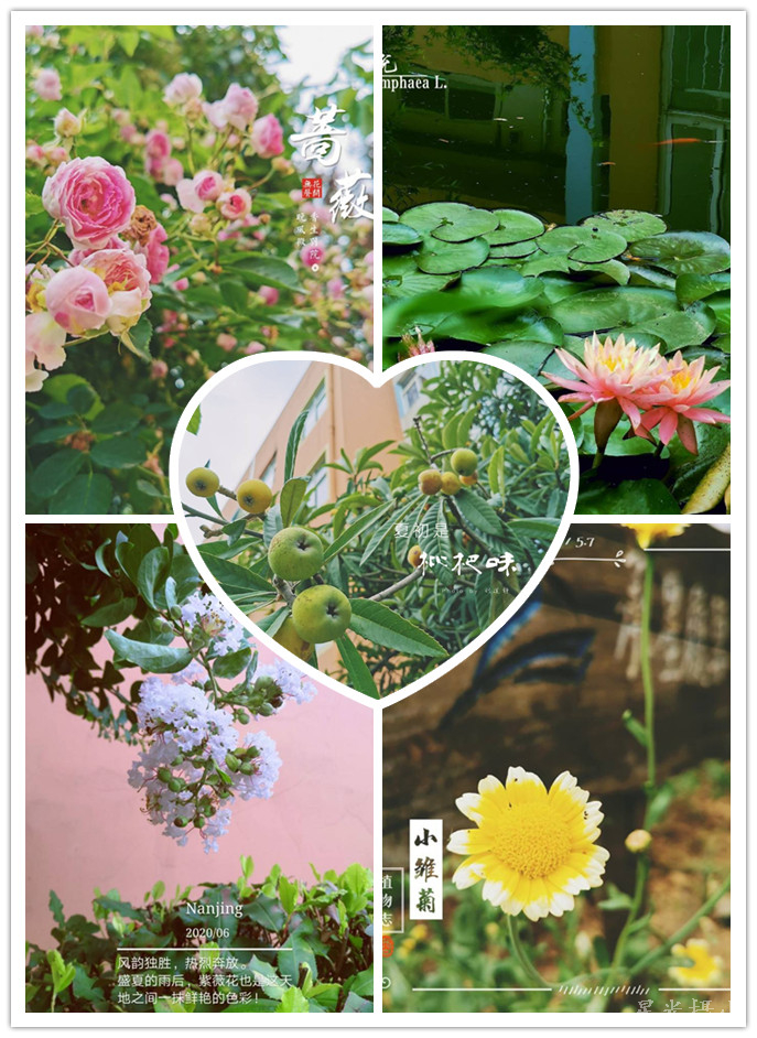 花香四溢.jpg