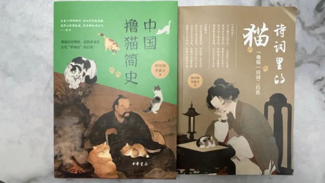 【毅行栖中】"文化寻踪 猫趣横生"——《中国撸猫简史》作者走进南京市栖霞中学