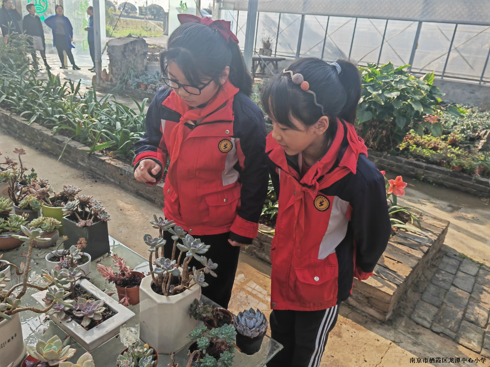 学生自由观赏.jpg