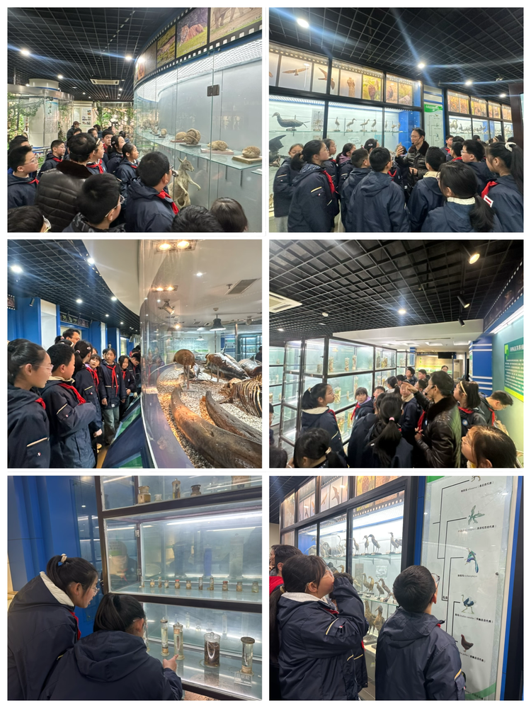 2025.3.12绿韵染校园 希望植心间——龙潭中心小学开展植树节系列活动_html_m16fed5ef.png