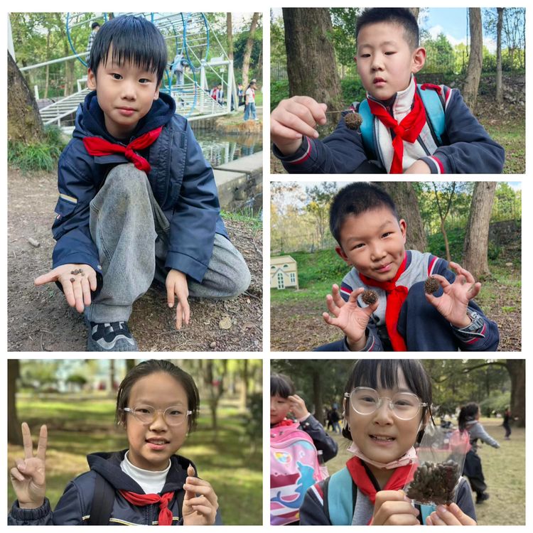 探秘植物王国 感受自然奇妙——龙潭中心小学开展2025年秋季社会实践活动_html_badd512.jpg