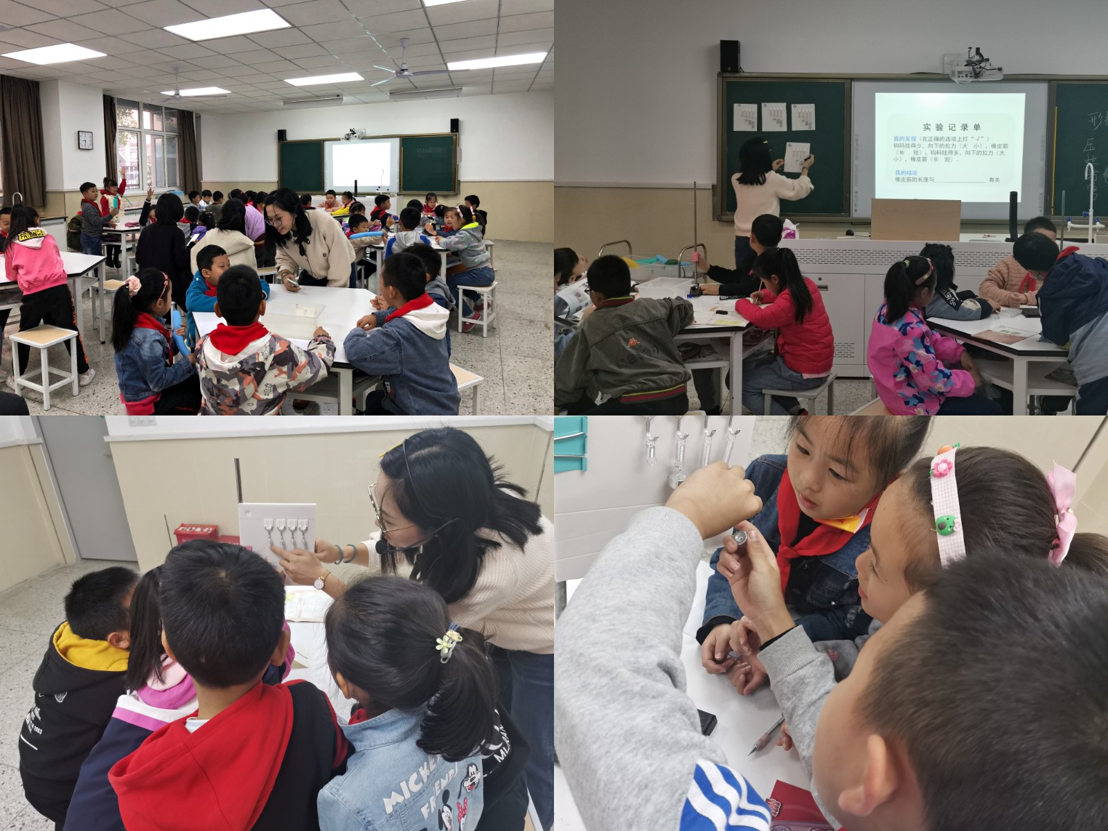 【灵美龙小】巧用实验探究评价，促进低年级学生实验探究能力的提升