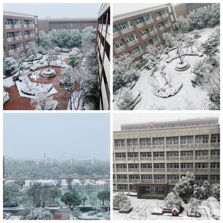 【灵美龙小&middot;特色活动】扫雪护行，情暖校园——龙潭中心小学龙岸花园校区党支部开展志愿扫雪活动_html_m773d2933.jpg