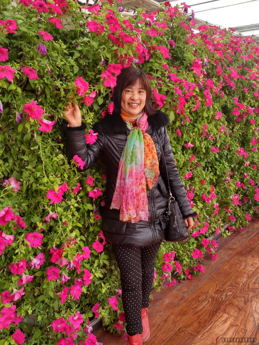 照片1.jpg 照片1.jpg