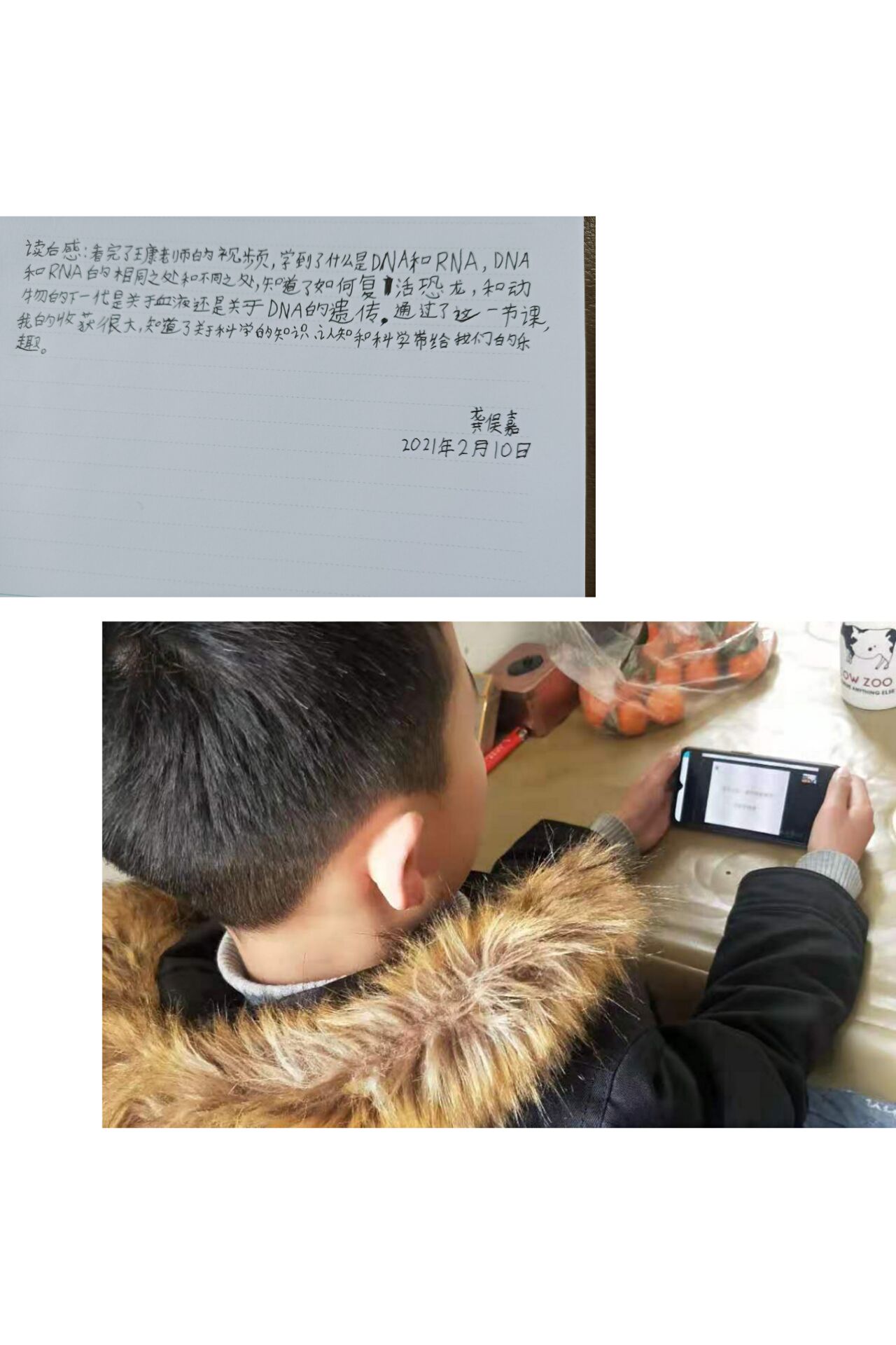【灵美龙小·龙岸】感受科普的魅力——龙潭中心小学龙岸花园校区线上科普讲座