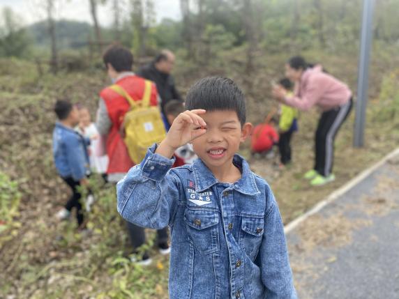 【枫香栖幼】种下希望 提升教研  ——记栖霞幼儿园翡翠天域园大班年级组“种子的秘密”主题中审活动