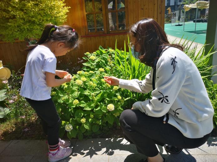 【枫香栖幼】迎检查 促提升  ——栖幼翡翠天域园五月教育教学巡查