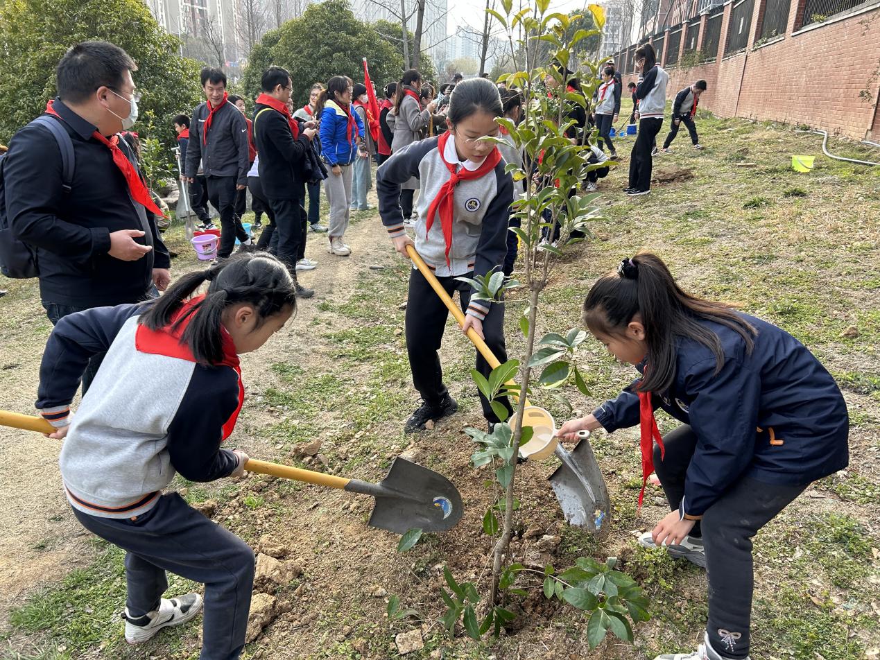 相约春天 共植希望——记金陵小学2024年植树节活动_html_m35749613.jpg