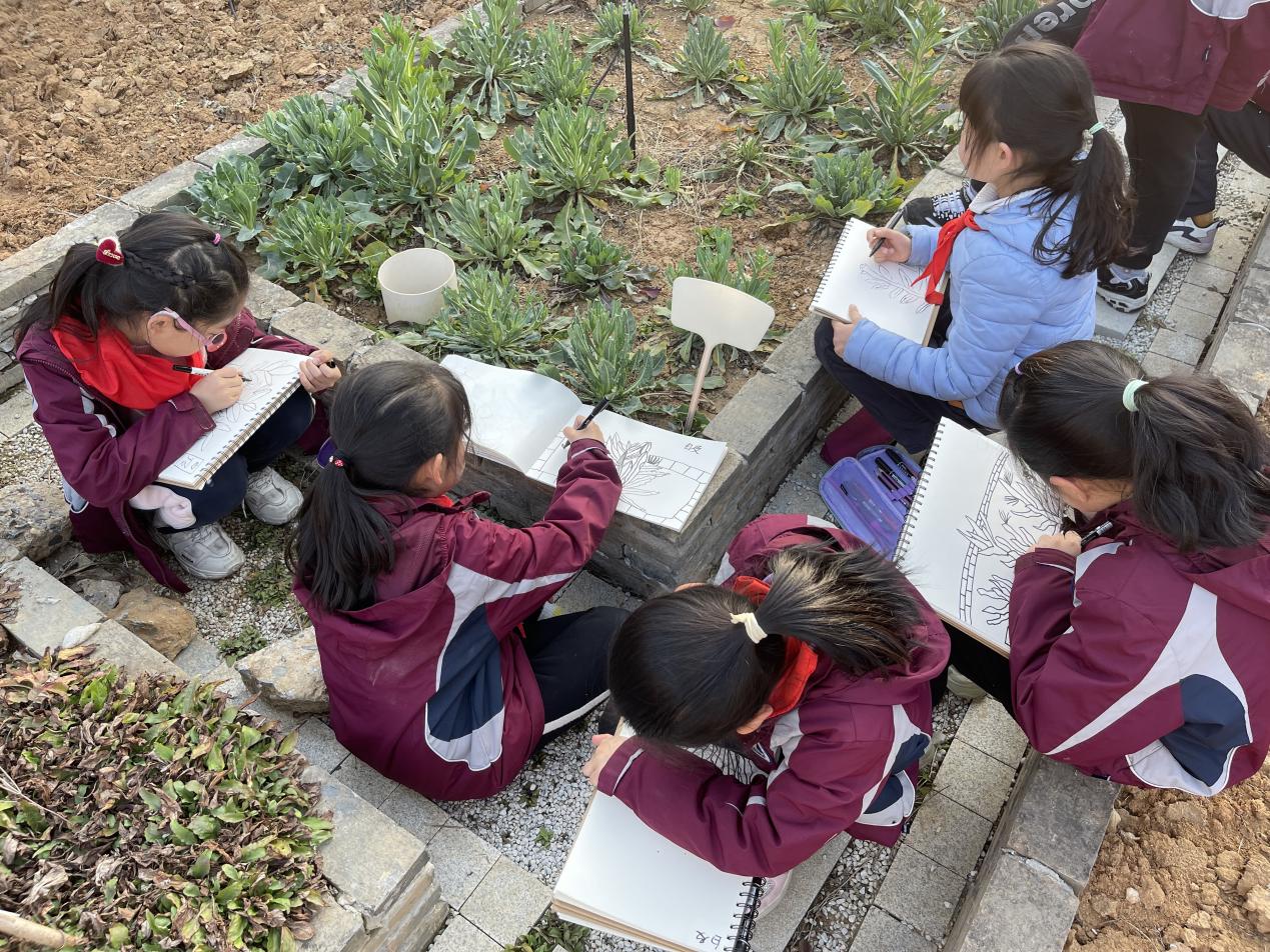 【广志特色教师】百草助力 艺趣无限-记金陵小学（广志路校区）特色教师赵晓萌_html_472ab3b5.jpg