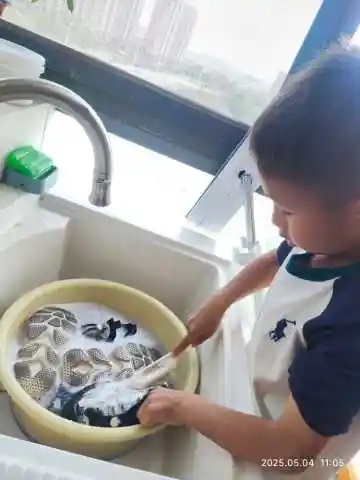 【湖畔·学生活动】劳动最光荣，争做劳动小达人——南京市金陵小学（仙林湖校区）五一劳动实践活动_html_70347b12.png