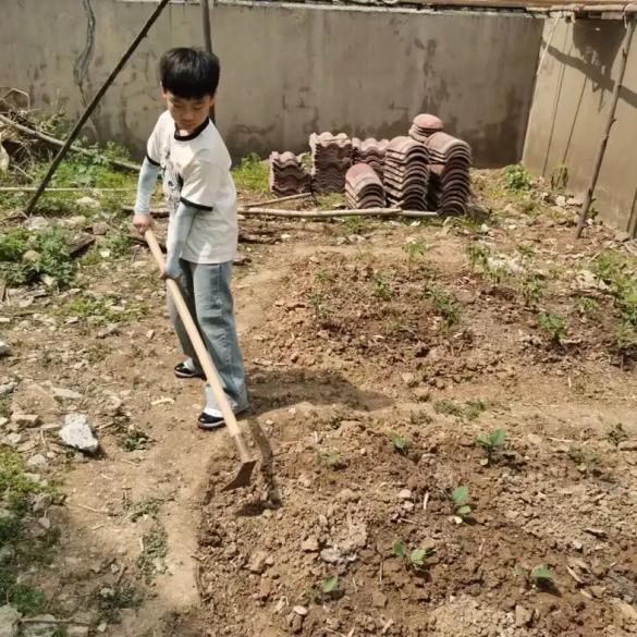 【湖畔·学生活动】劳动最光荣，争做劳动小达人——南京市金陵小学（仙林湖校区）五一劳动实践活动_html_m23fe5da5.png
