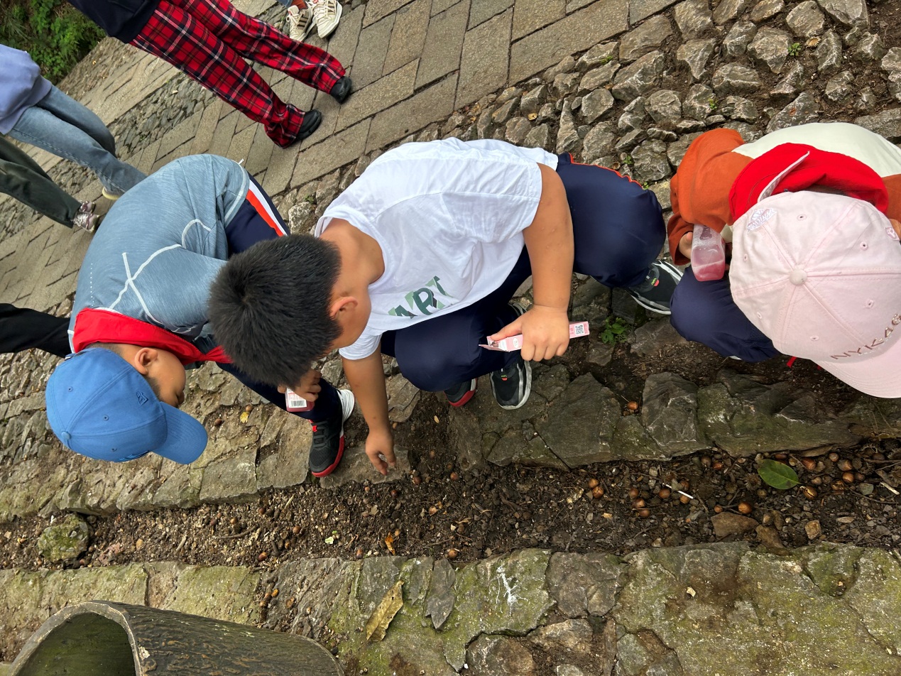 【湖畔·学生活动】向阳而生，逐光而行——金陵小学（仙林湖校区）二年级（1）班亲子登山活动_html_716237f5.jpg
