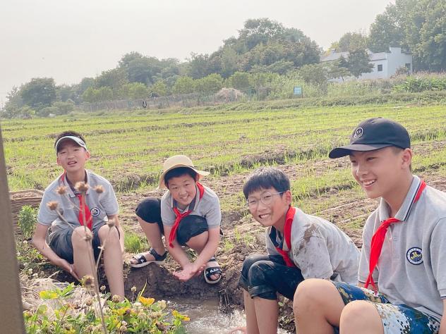 【湖畔光影】田间插秧践初心 红色传承担使命——记金陵小学（仙林湖校区）劳动实践活动_html_1c0e6782.jpg