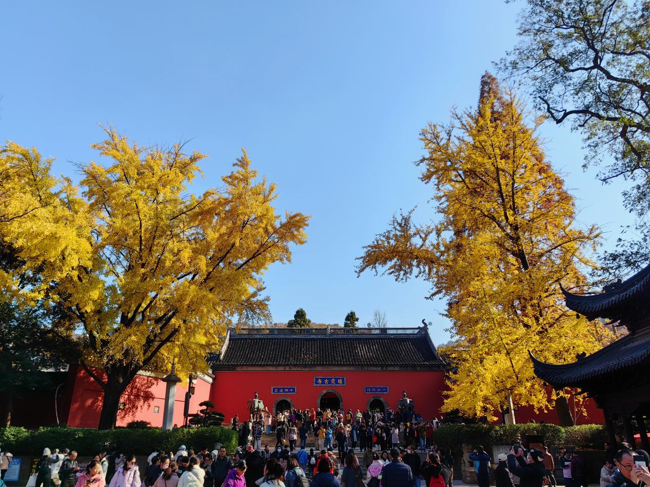 【湖畔·红领巾】同游栖霞山，共赏红枫节——记金陵小学（仙林湖校区）2023级5班团建活动_html_md737b9c.jpg