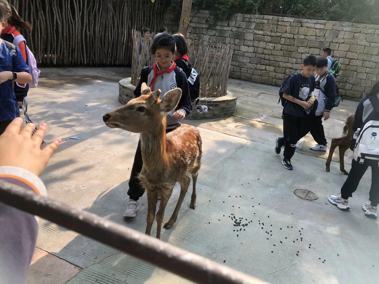 【湖畔•学生活动】秋日拾趣，一路童行金陵小学（仙林湖校区）六年级秋季综合实践活动_html_m418542c7.jpg