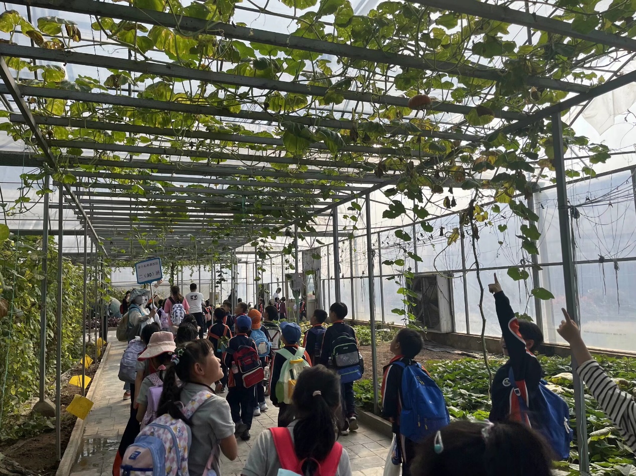 【湖畔·学生活动】感受自然之美——金陵小学（仙林湖校区）二年级秋季综合实践活动_html_mcf20d16.jpg
