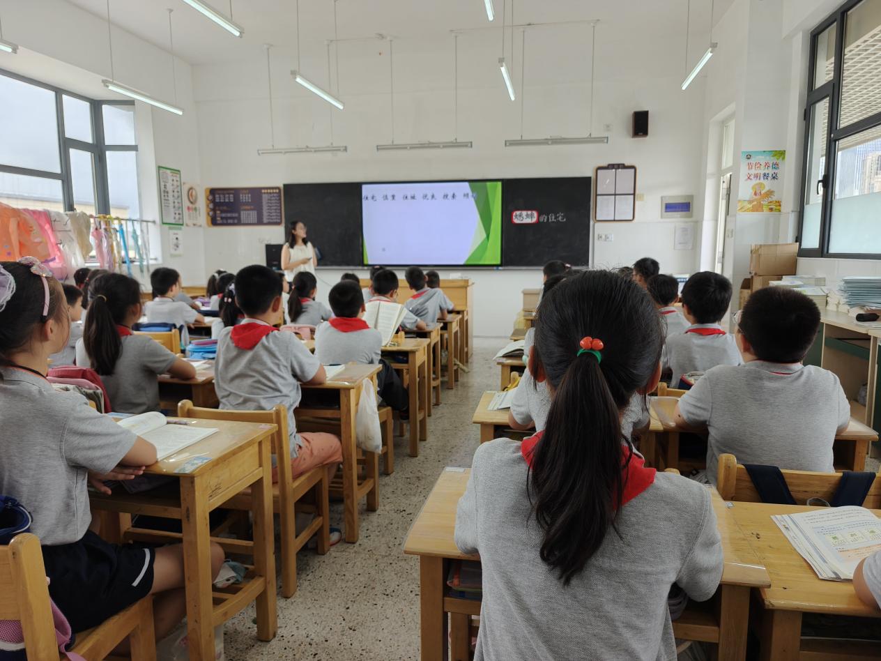 【博学广志】集体智慧共研究，携手“观察”共成长——金陵小学广志路校区四年级语文组教研活动_html_m5fb75e2.jpg