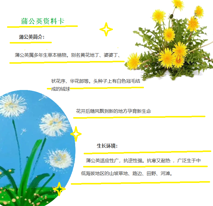 【博学广志】科普筑梦广志路，飞舞旅行蒲公英(1)_html_mf951ac2.png