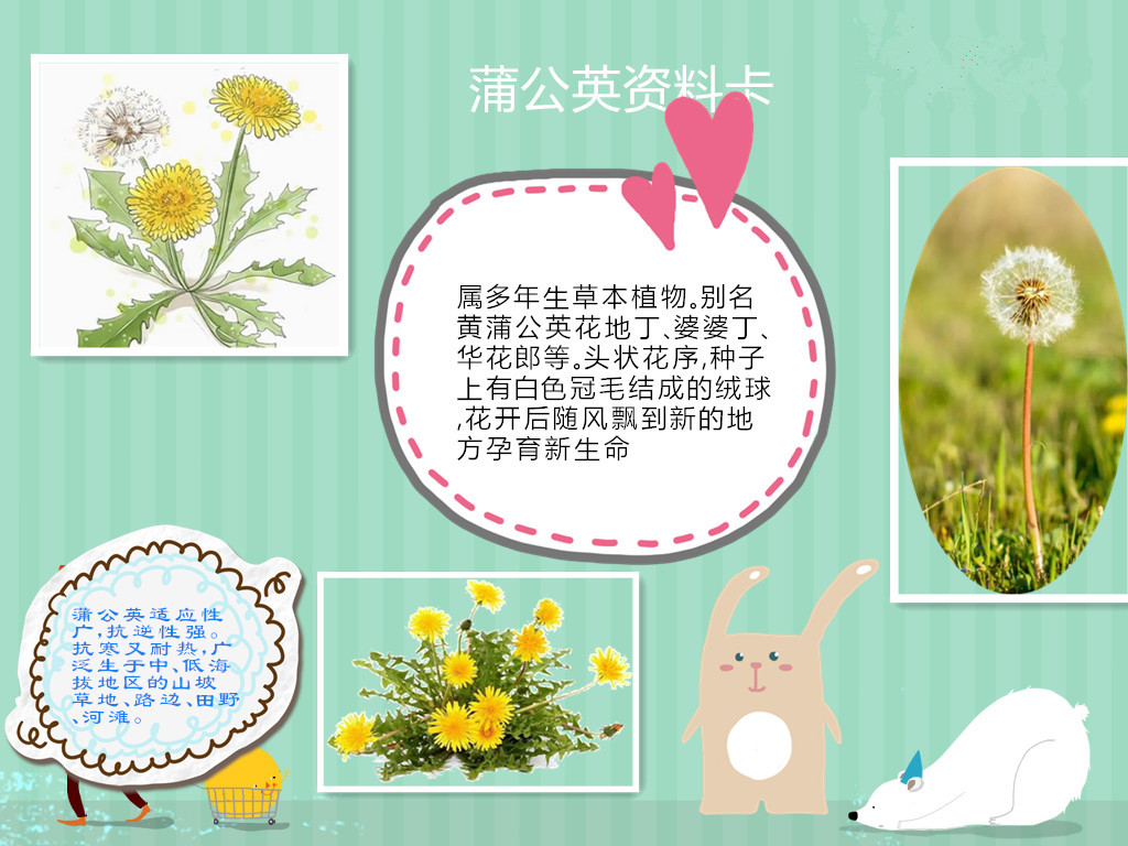 【博学广志】科普筑梦广志路，飞舞旅行蒲公英(1)_html_m1765bbf8.jpg