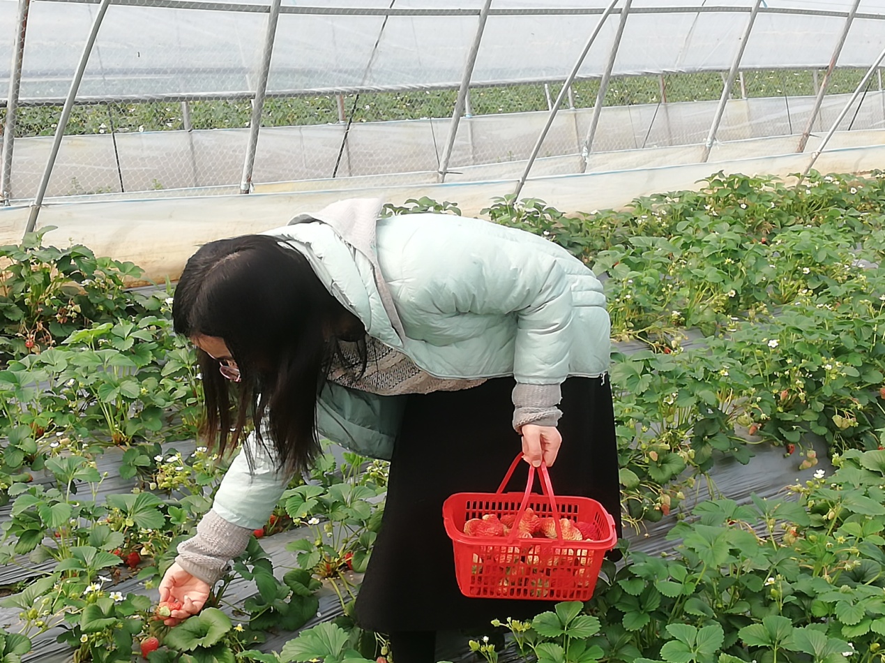 亲近自然_html_m173c1b72.jpg