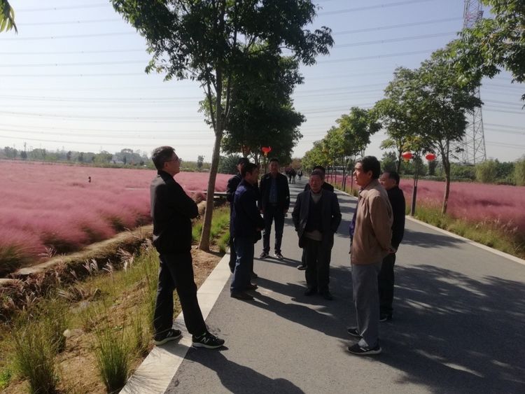 【营中工会】九九重阳，漫步高淳 ——记南京市营防中学重阳节活动