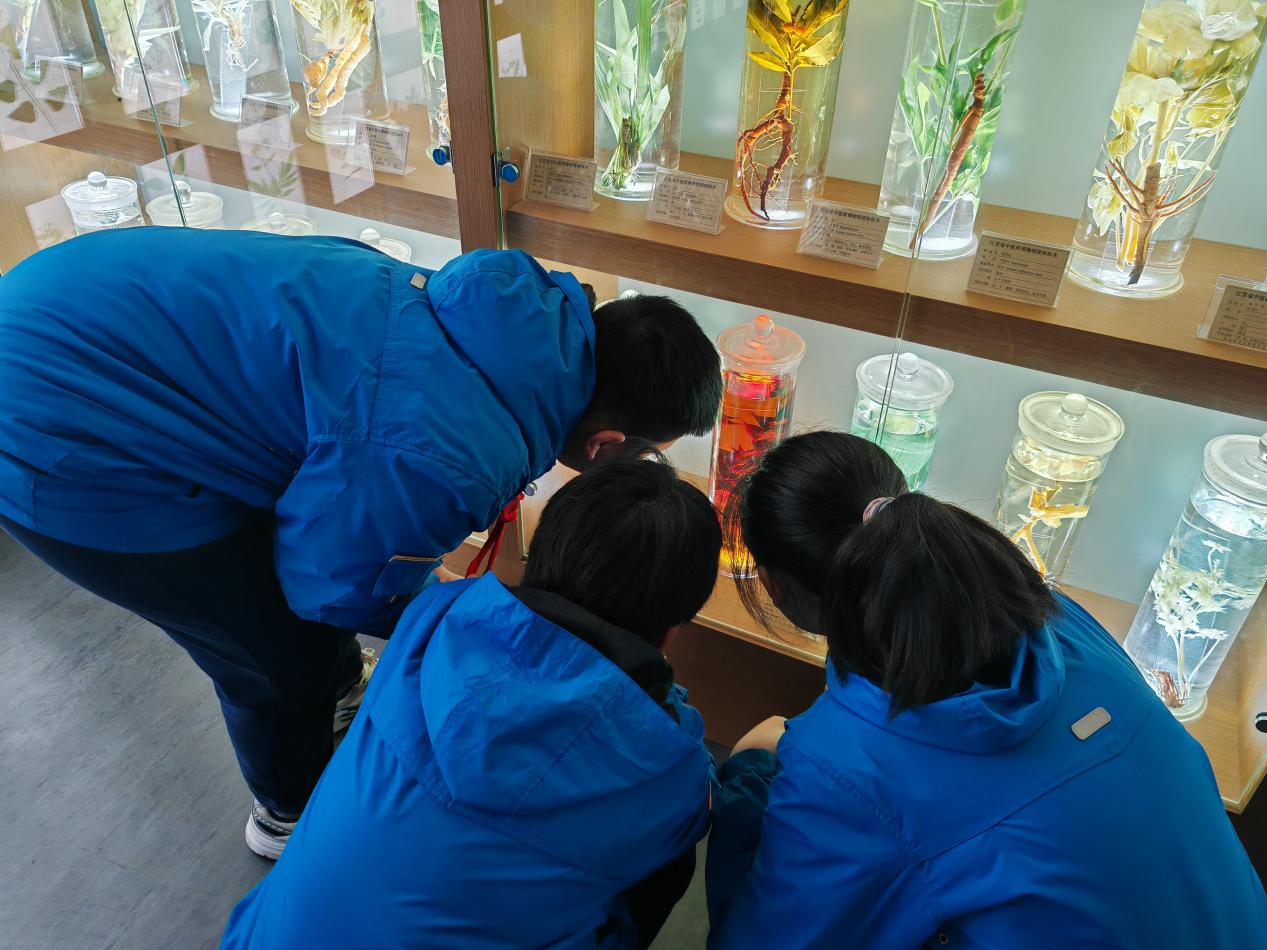 博览中医文化 弘扬国粹经典_html_7c66536.jpg