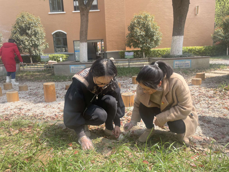 劳动让校园绿意盎然_html_4a23514c.jpg