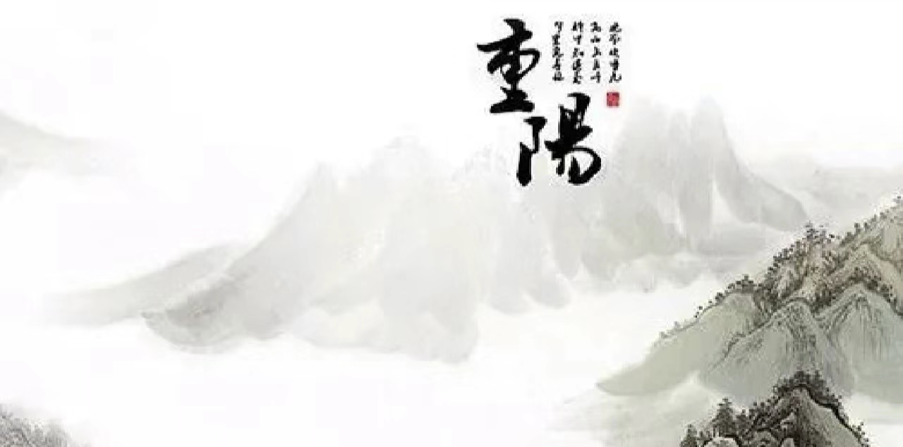 图片4.JPG