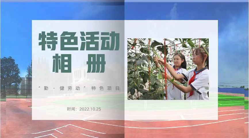 图片2-4.png