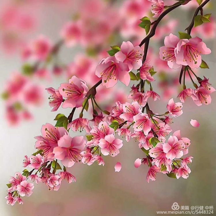 中桥中学教科研素养校级初赛活动2020.4.06_html_7d4ecd8d.jpg