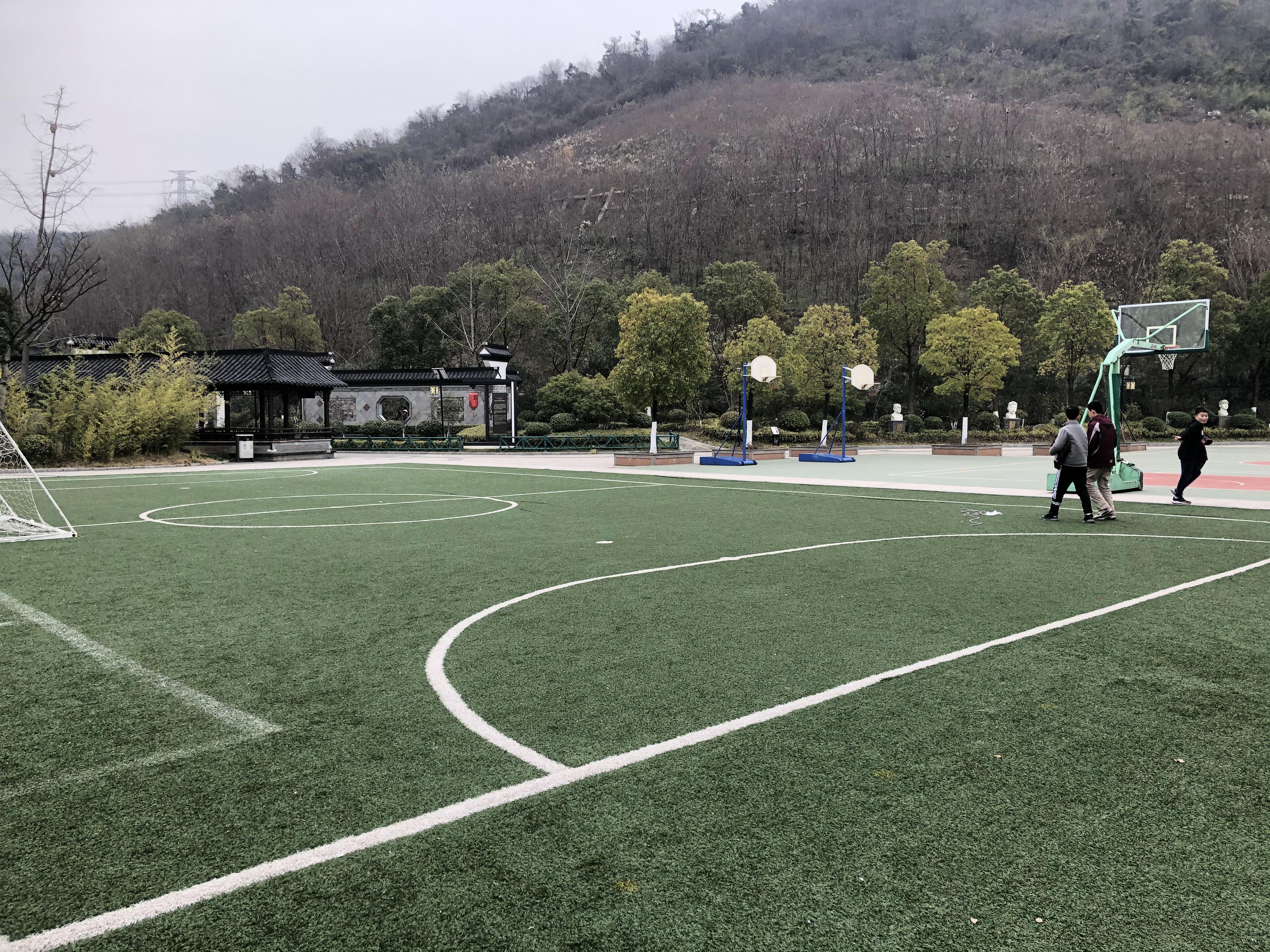 南京市金陵小学足球专项场地器材_html_m6cc3f182.jpg