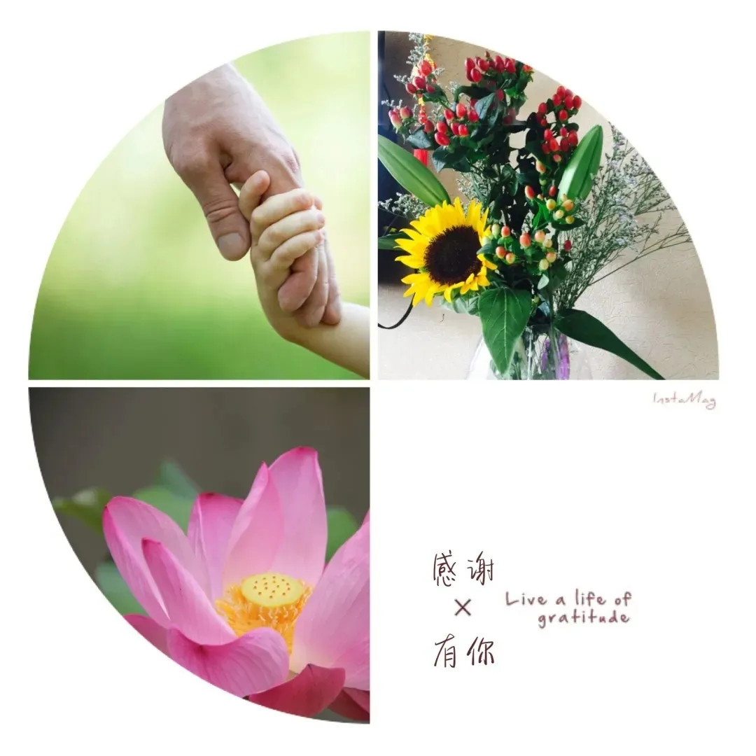 QQ图片20221010104103.jpg QQ图片20221010104103.jpg