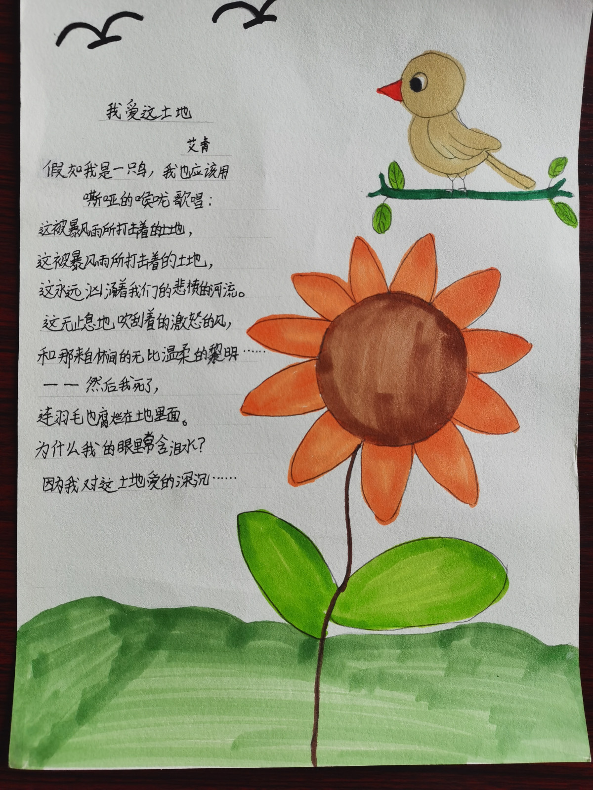 【花港一小】笔绘心中诗情，共享意韵之雅 第十六届读书节系列活动之五