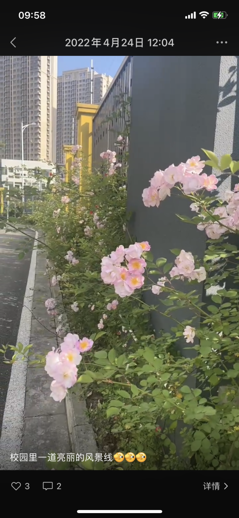 疫情家长会——满媛_html_3da8094f.png