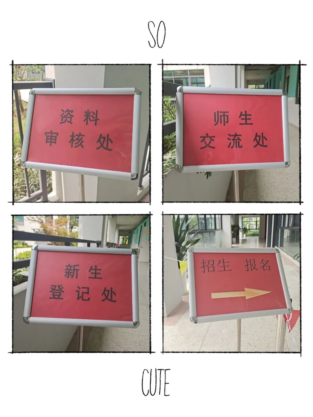 招生4.jpg
