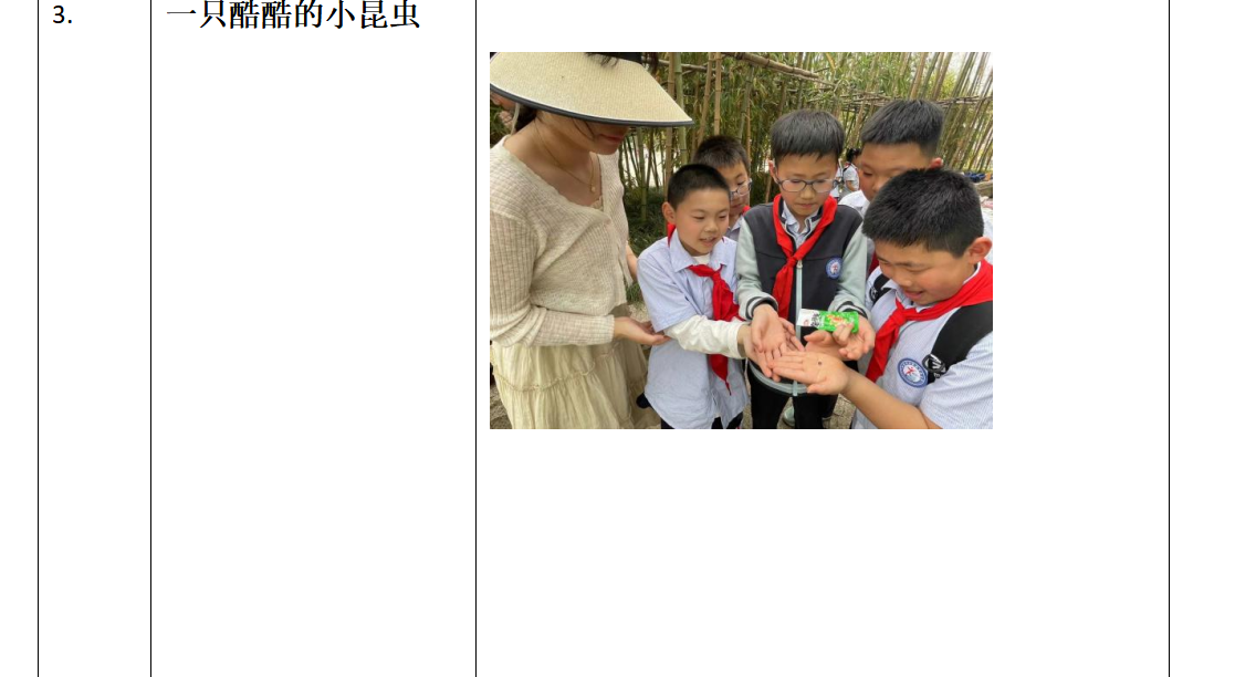 春季社会实践活动报道(1)_html_42353e46.png