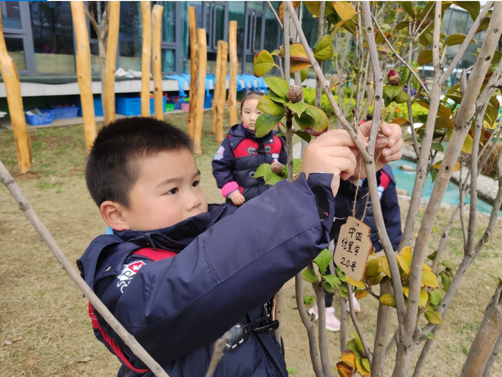 植树节_html_m74d344be.png