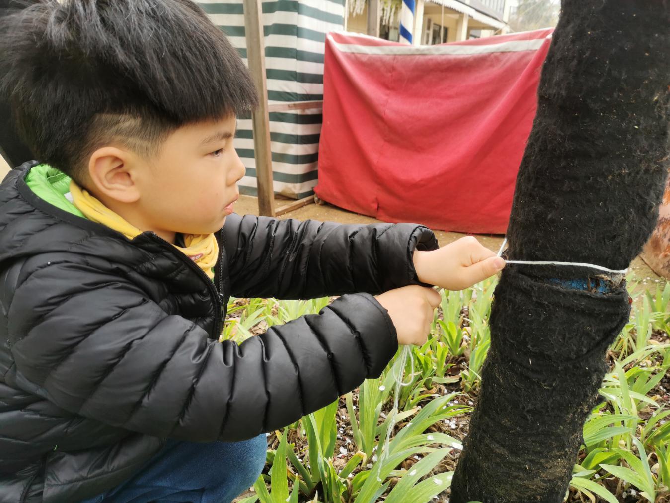 2021.3.12 蒋雨薇 植树节活动_html_m26cb7369.jpg