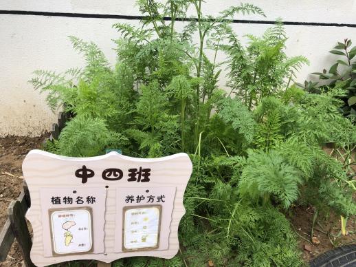 报道文字稿_html_m15b89452.jpg