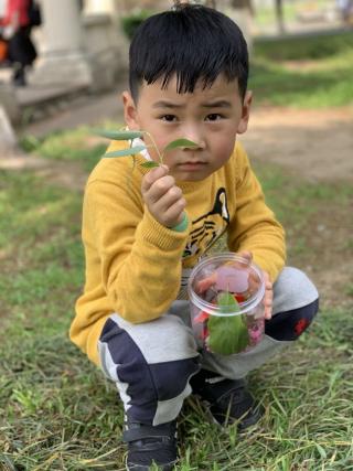 中一班春游新闻稿_html_4b189ceb.jpg