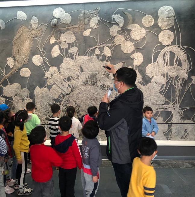 2021.4.19 左琳琳 走进南京古生物博物馆_html_37f6f155.jpg