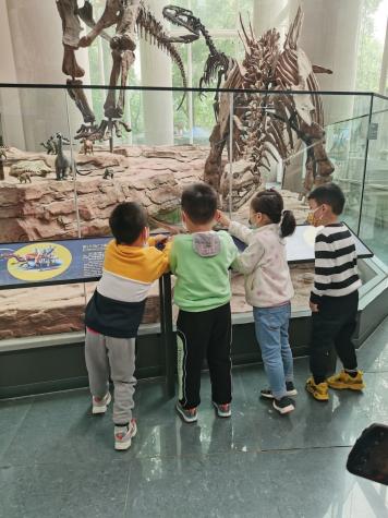 2021.4.19 左琳琳 走进南京古生物博物馆_html_m67032dd1.jpg