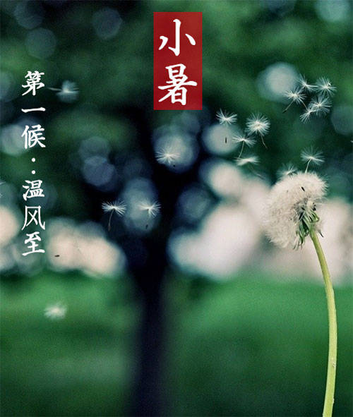 2020.7.6 赵华 倏忽温风至，因循小暑来_html_2c7bef85.jpg