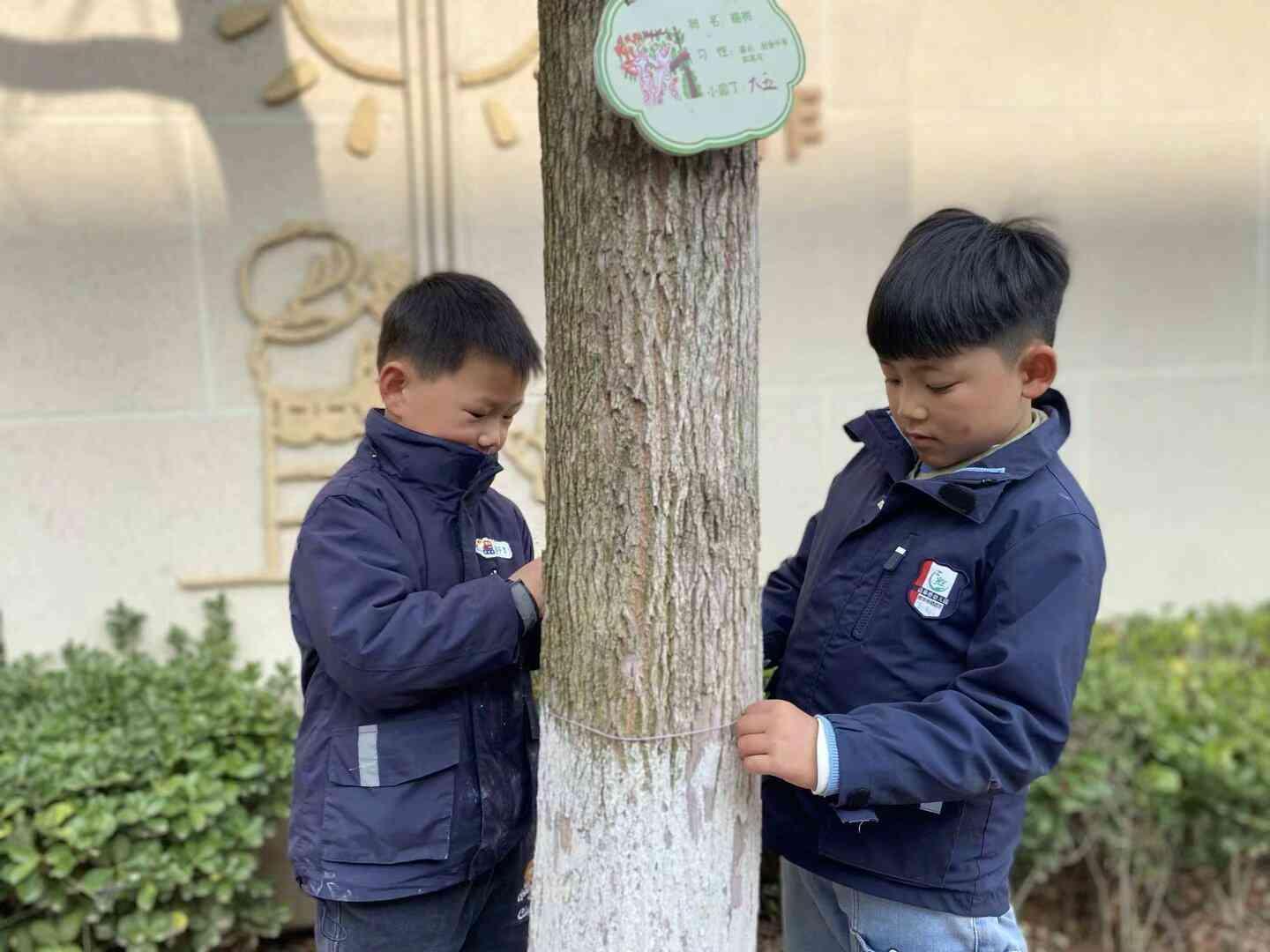 2025.3.10王牧云【生命迈幼·童年畅玩】植一抹绿色，溢一片春光——迈幼瑜憬湾分园植树节活动docx_html_m31c3bcc9.jpg