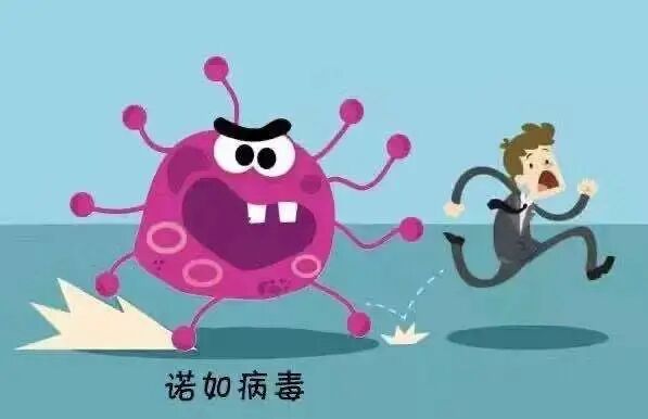 预防防控诺如病毒_html_m4e55b47e.jpg