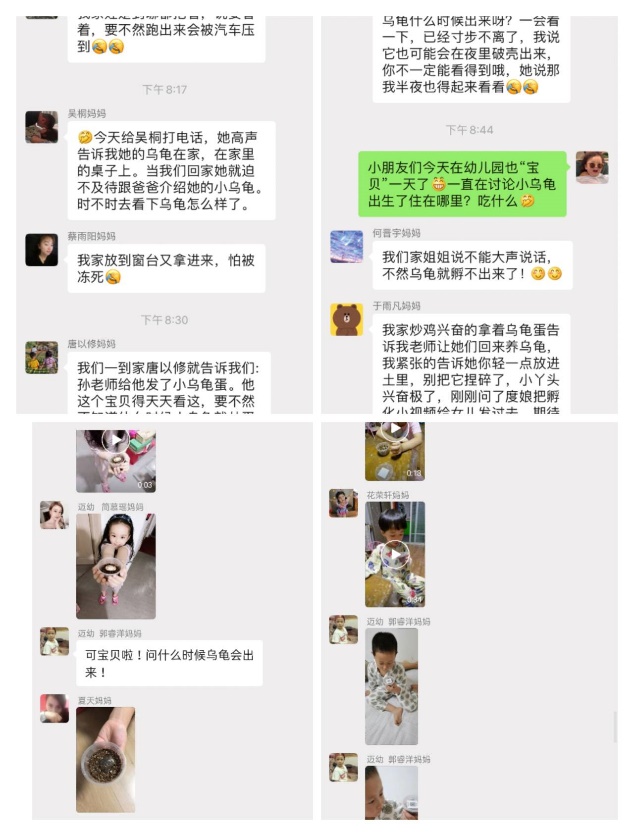 2020.9.17 小乌龟栖霞板_html_mb1eada9.jpg