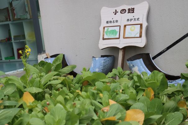 园级家委会活动报道_html_4ca72b48.jpg