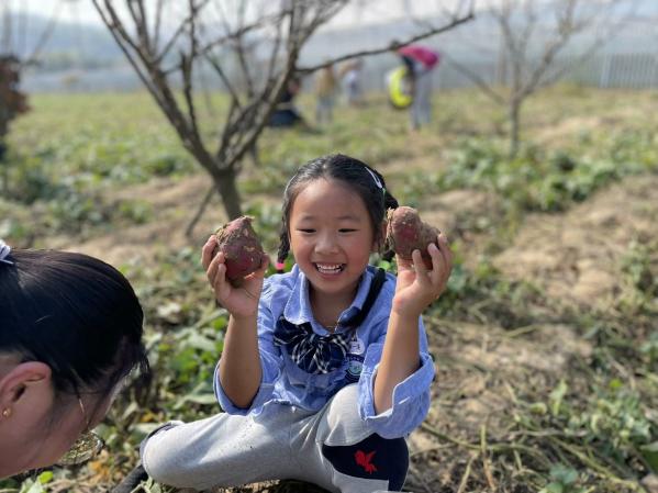 定稿：【生命迈幼·留住“秋”迹】探秘秋日，悦享秋游——迈幼嘉誉山分园秋游活动 (修改)_html_m4df75192.jpg