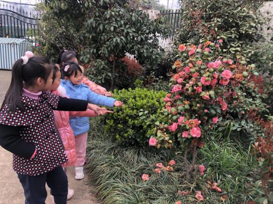 20210312祥和园区植树节活动_html_3a25aa49.jpg