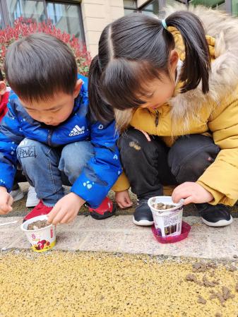 20210312新城植树节活动_html_m1c2ff54b.jpg